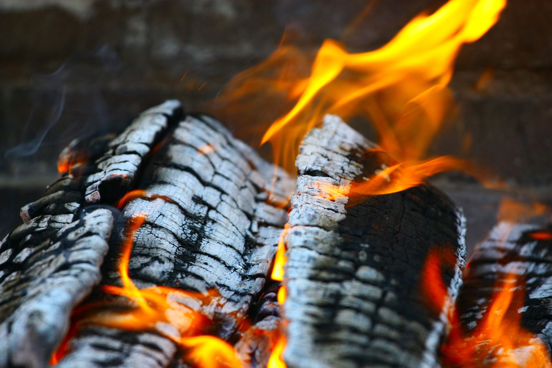 Burning Wood